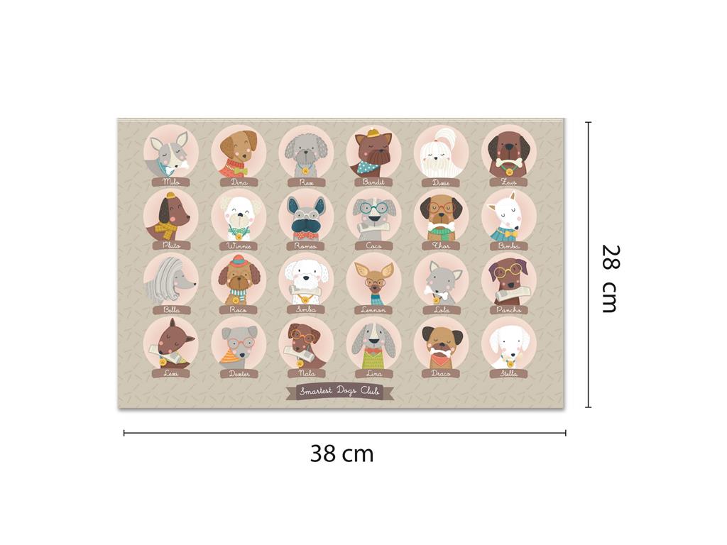 Apli Igra Kdo je kdo