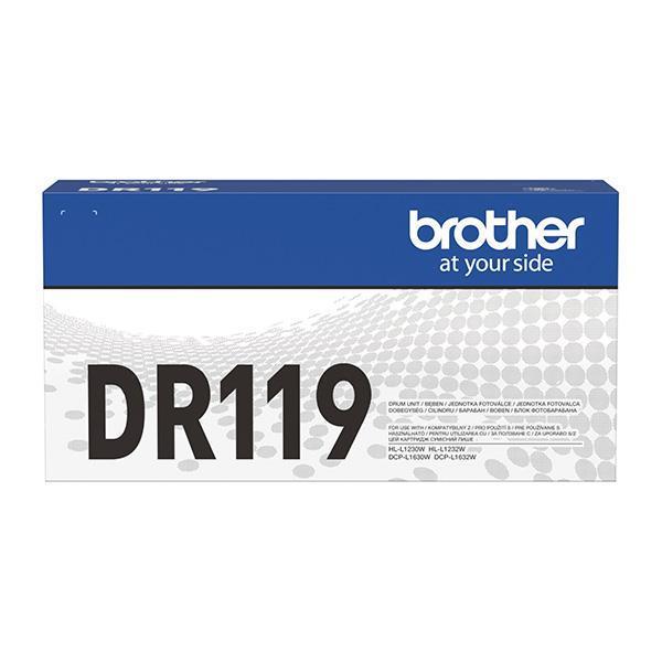Brother Boben DR119, 10.000 strani