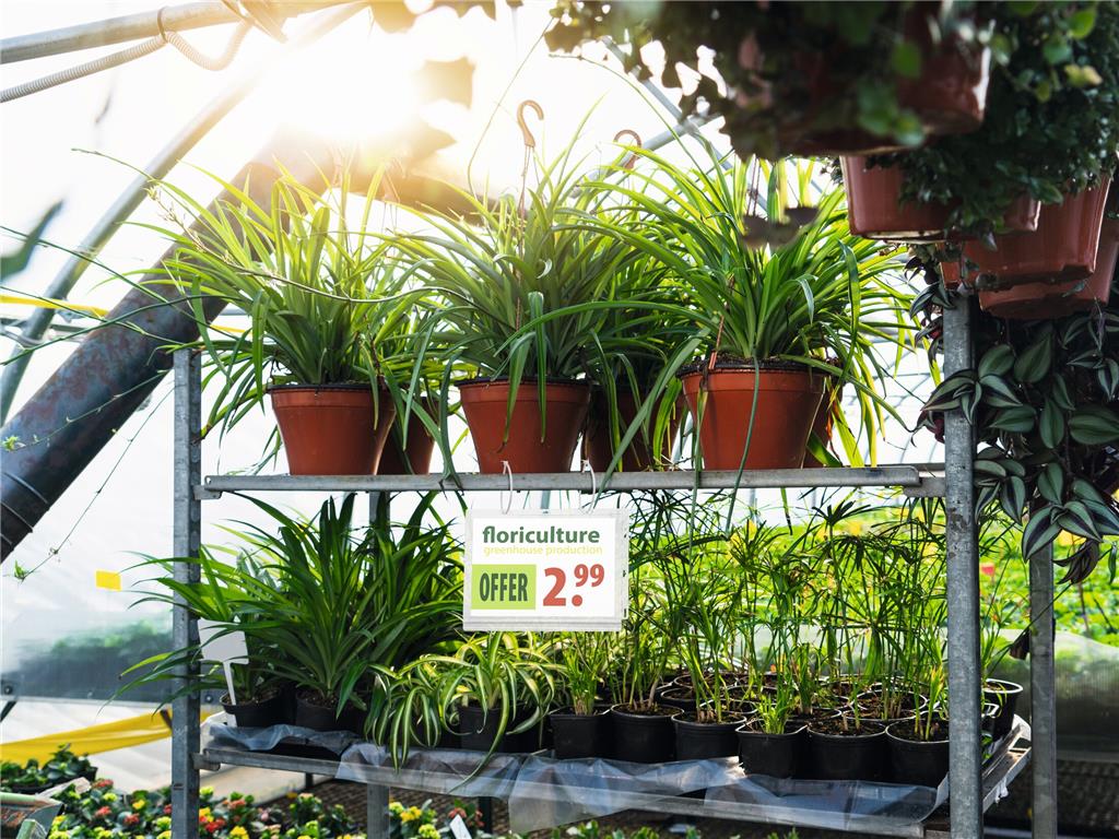 Durable Vodoodporni žepki A4 z vezicami, 5 kos