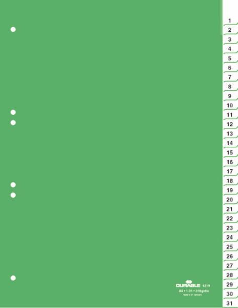 Durable Ločilni listi A4 1/31 (6219)