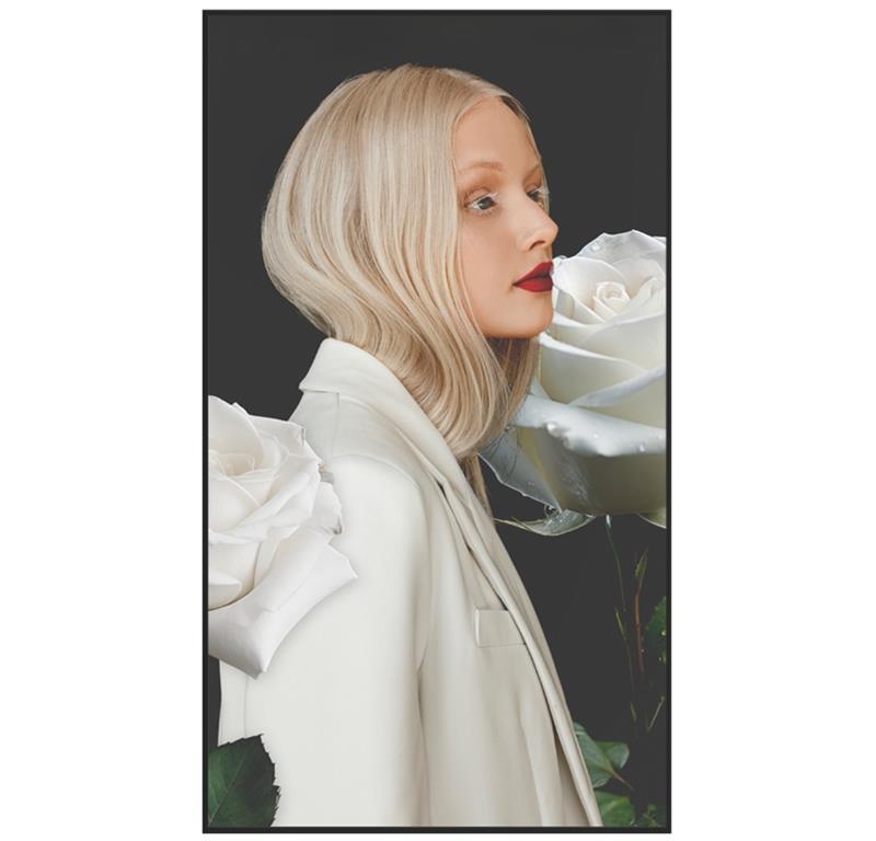 Newline Profesionalni LFD zaslon DSX 43''