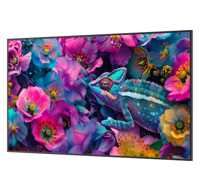 Newline Profesionalni LFD zaslon DSX 65''