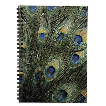 Klipko Zvezek s spiralo A5, črtast, pav